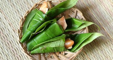 Secondo una ricerca quasi tutti i malati di cancro orale del Myanmar masticano il betel quid