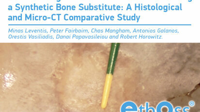 Bone Healing in Rabbit Calvaria Defects Using a Synthetic Bone Substitute