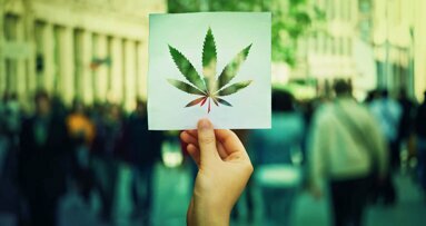 Legalisierung von Cannabis wird in der Schweiz wahrscheinlicher