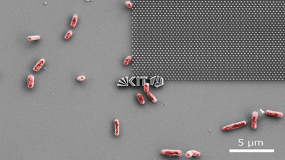 Nanostructured surface reduces bacterial growth, accelerates post implantation wound healing