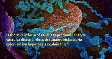 Severe form of COVID 19: Mainly a vascular disease? Can 'Anaerobic Bacteria Hypothesis' explain it?