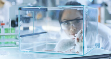 Moving away from animal testing in dentistry