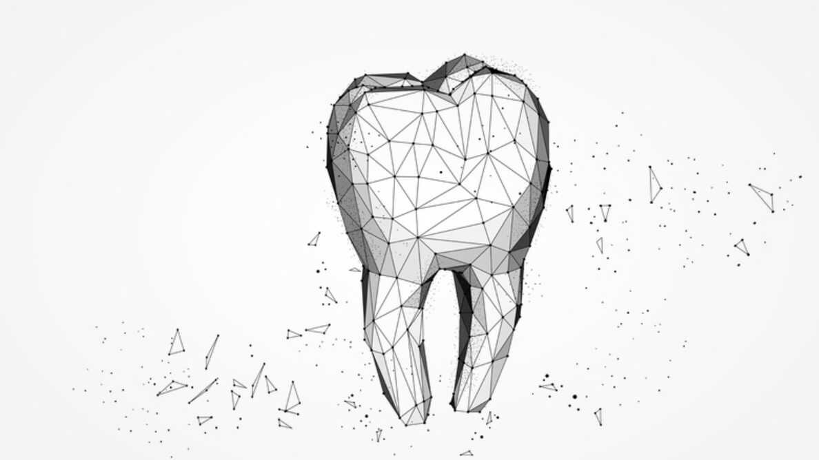 Descubrimientos sobre la mineralización del esmalte dental