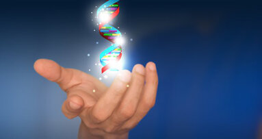 Gaumenspalte: Forscher klären genetische Ursache