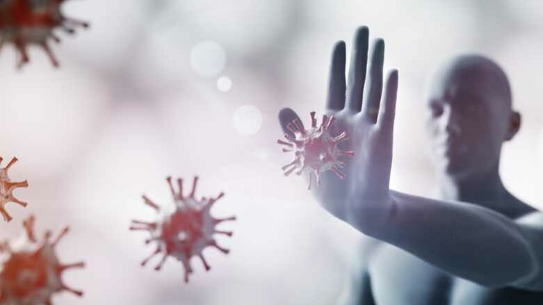 Besserer Schutz vor COVID-19 durch Antikörper harmloser Coronaviren