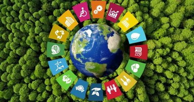 Desenvolvimento sustentável - 50 anos de progresso