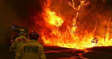 Dental community responds to Australian bush-fires