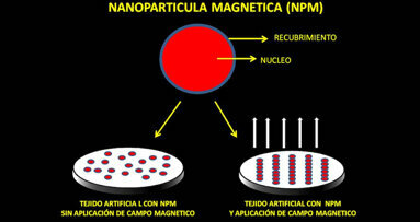 Tejidos magnéticos inteligentes en terapias regenerativas