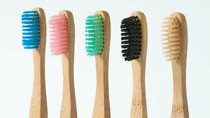 Tested and Reviewed, Part 3: The Bam & Boo toothbrush
