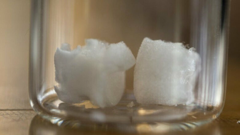 La cellulose végétale pourrait fournir un nouveau matériau pour les implants dentaires