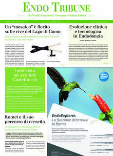 Endo Tribune Italy No. 1, 2017
