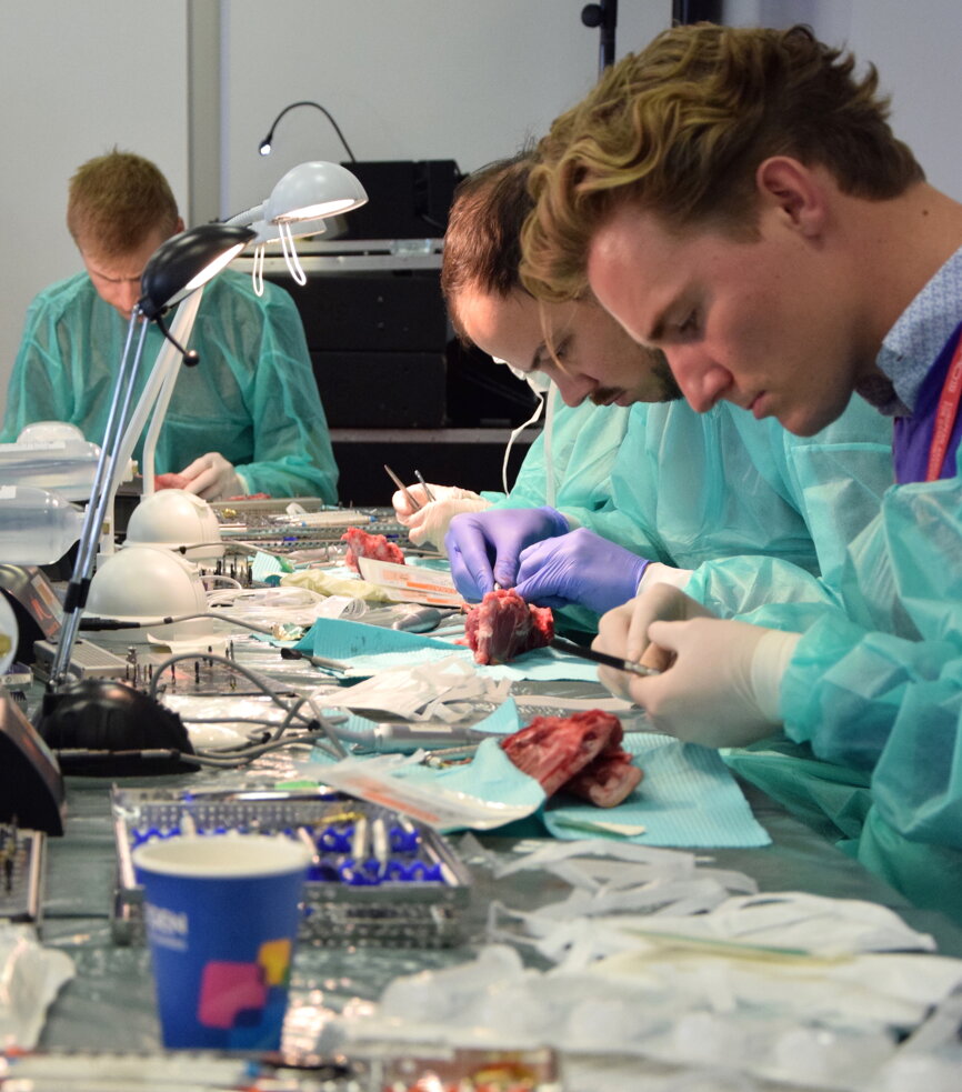 At the “My first implant: GBR” workshop, attendees had the opportunity to learn how to place an implant in a porcine jaw. (Photograph: Franziska Beier, DTI)