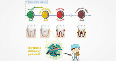 Study identifies asymptomatic state of gingivae that links gingivitis, periodontitis and ageing