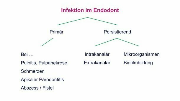 Infektion des Endodonts