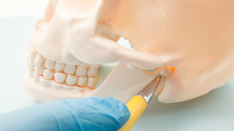 Researchers develop model to automatically localise mandibular canals