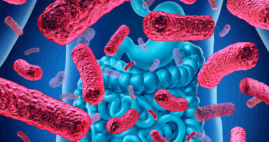 Microbiota della bocca, dell’intestino ed infiammazioni intestinali