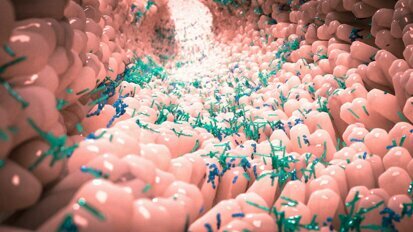 The oral–gut microbiota axis: the harbinger of autoimmune diseases