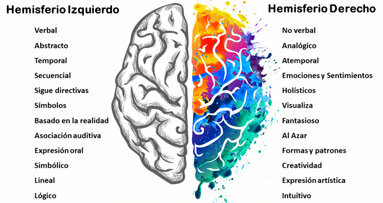 Hemisferios cerebrales: neuronas espejo y empatía