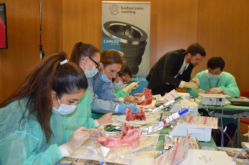 Participants in the “My first implant” workshop, during which they placed one or more implants in porcine jaws. (Photograph: DTI)