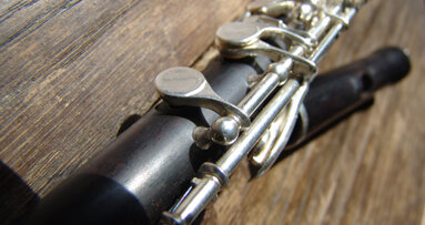 Used woodwind and brass musical instruments harbor harmful bacteria and fungi