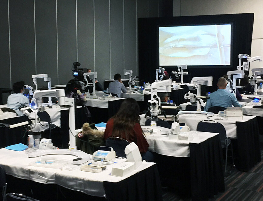Dr. L. Stephen Buchanan and Dr. Yoshi Terauchi present ‘Predictable and Minimally Invasive Techniques for Instrument Retrieval’ at AAE19 in Montreal. (Photo: Fred Michmershuizen/Dental Tribune America)