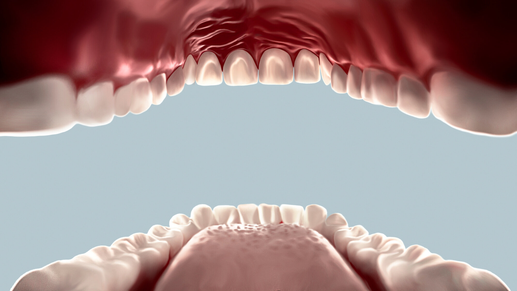 фото зубов изнутри