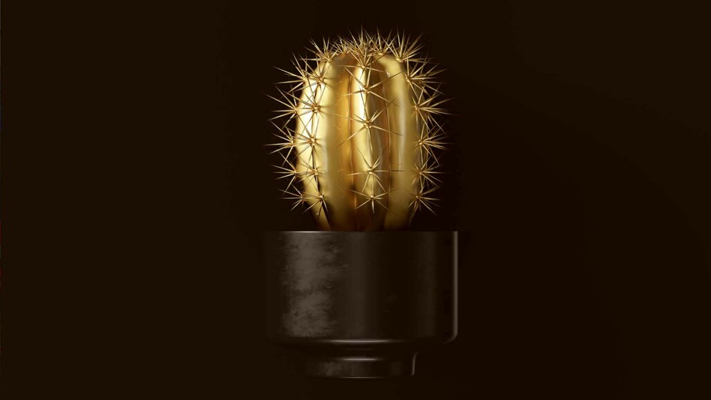 „Goldener Kaktus“ geht an die Versicherungskammer Bayern