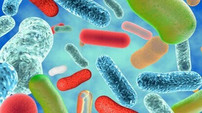 Betere genezing pockets door probiotica