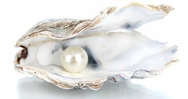 Studie provedená zubními lékaři u perel by mohla vést k vytvoření materiálů odolných vůči lomu