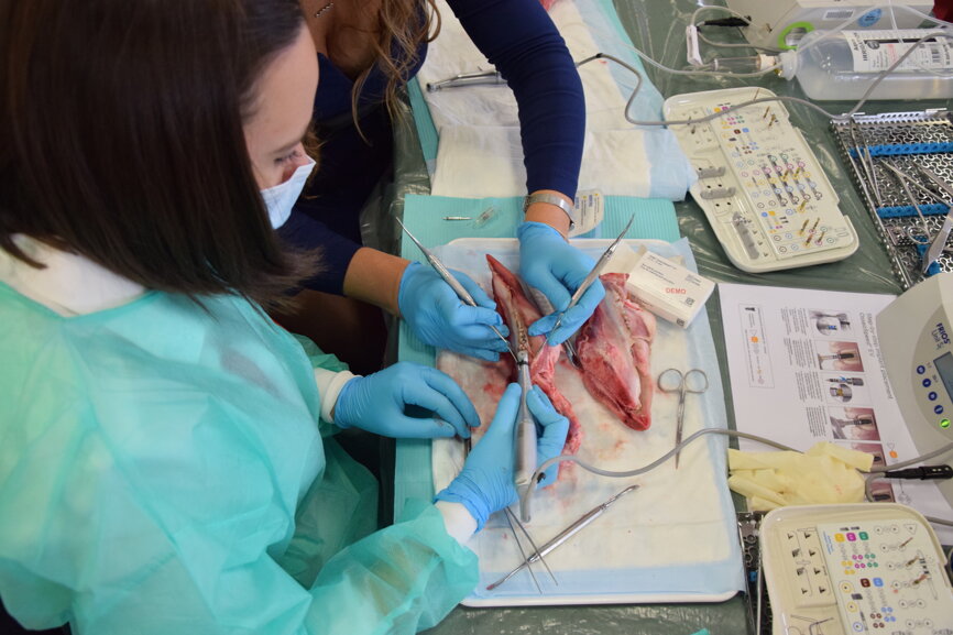 According to Dr Torsello the aim of this workshop was to “inspire and stimulate the participants to further study this field of dentistry”. (Photograph: Franziska Beier, DTI)