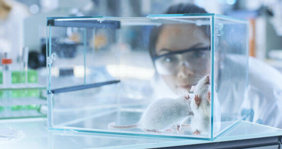 Environmental Protection Agency takes steps to reduce animal testing