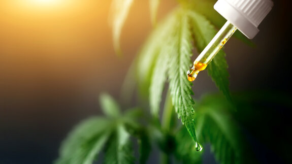 Cannabidiolo: alla ricerca di un nuovo analgesico non oppioide