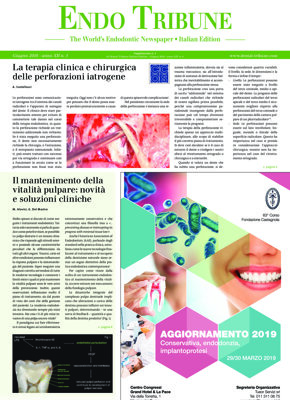 Endo Tribune Italy No. 1, 2018