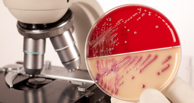 Antibakterielle ­Beschichtungen untersucht