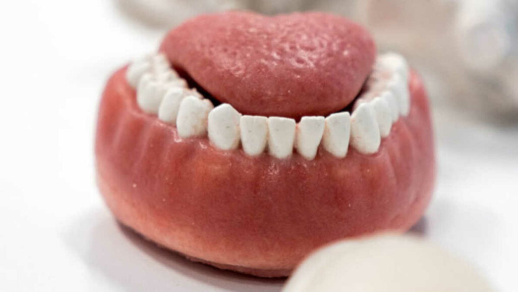 Nové realistické modely ústní dutiny umožní lepší vzdělávání stomatologů