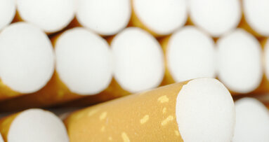 Forscher produzieren Aids-Antikörper aus Tabak