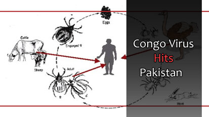 Congo Virus Hits Pakistan