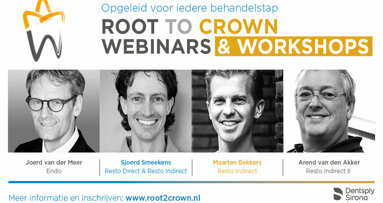 Root to Crown Webinars & Workshops