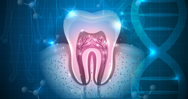 Una nuova ricerca potrebbe accelerare l’odontoiatria rigenerativa