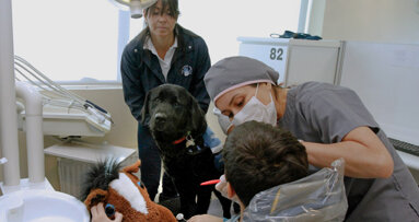 Interview: Animal-assisted therapy lowers stress levels