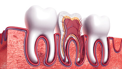 Study analyses unique root canal anatomy patterns in Indian population