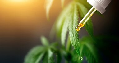 Cannabidiol: The quest for a new non-opioid analgesic