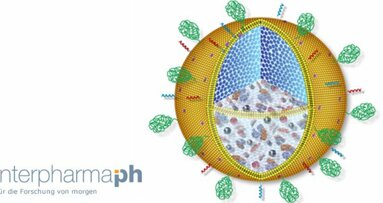 Krebstherapie: Große Hoffnung auf Nanofähre