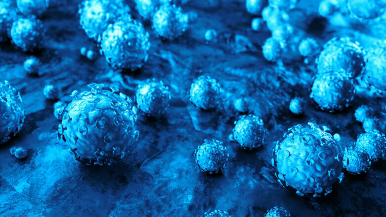 So kurbeln Humane Papillomviren die Krebsentstehung an