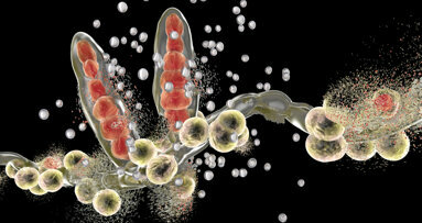 Nanorobots quickly and effectively target fungal infections in the oral cavity
