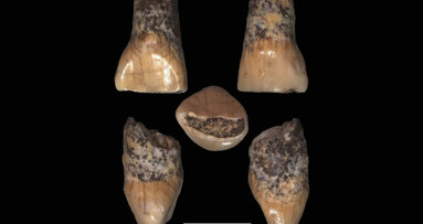 Trovato ad Isernia il dente deciduo di un bimbo di 600 mila anni fa. Molto probabilmente il resto umano più antico scoperto in Italia