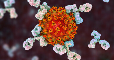 Dépistage des anticorps contre le SRAS-CoV-2 : 