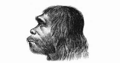 Neandertalczycy nie cierpieli na próchnicę