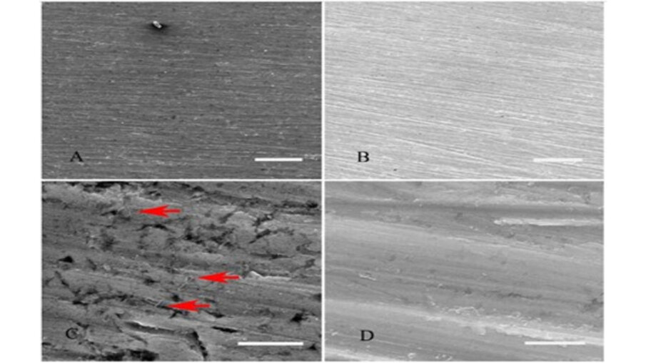 Obr. 3a–d: SEM snímky účinku Streptococcus sanguinis na povrch titanu. Titanový povrch v umělých slinách obohacených o S. sanguinis. Měřítko: 100 μm