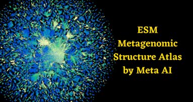 Meta enters metagenomics with protein discovery breakthrough